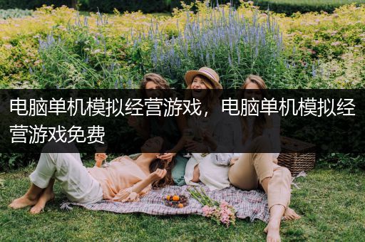 电脑单机模拟经营游戏，电脑单机模拟经营游戏免费