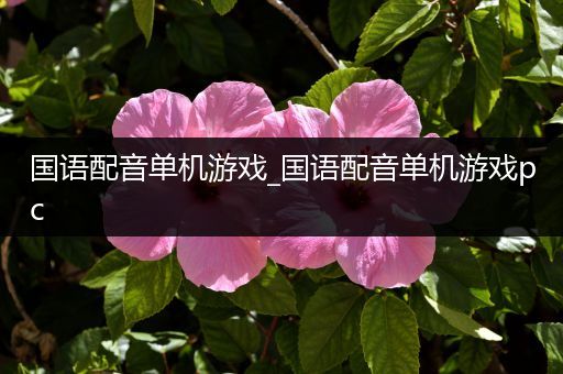国语配音单机游戏_国语配音单机游戏pc