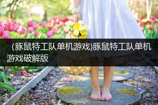 （豚鼠特工队单机游戏)豚鼠特工队单机游戏破解版