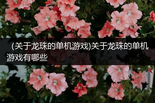 （关于龙珠的单机游戏)关于龙珠的单机游戏有哪些