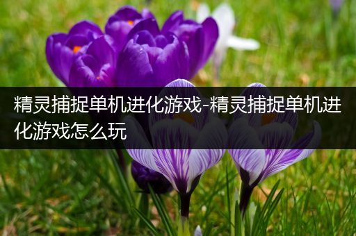 精灵捕捉单机进化游戏-精灵捕捉单机进化游戏怎么玩