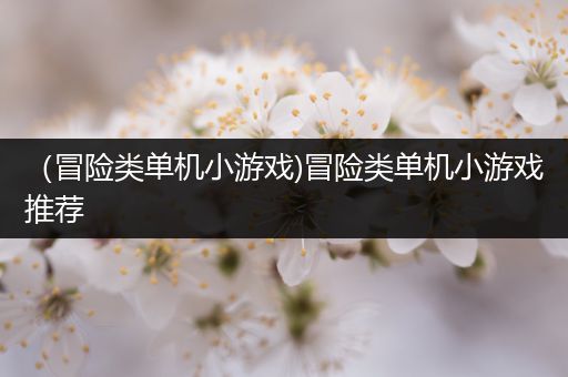 （冒险类单机小游戏)冒险类单机小游戏推荐