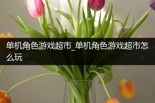 单机角色游戏超市_单机角色游戏超市怎么玩
