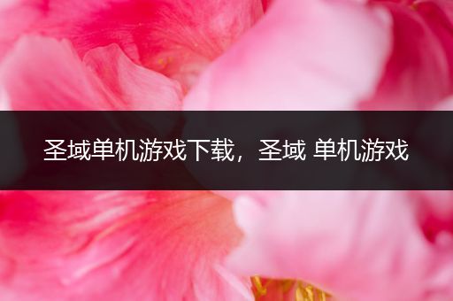 圣域单机游戏下载，圣域 单机游戏
