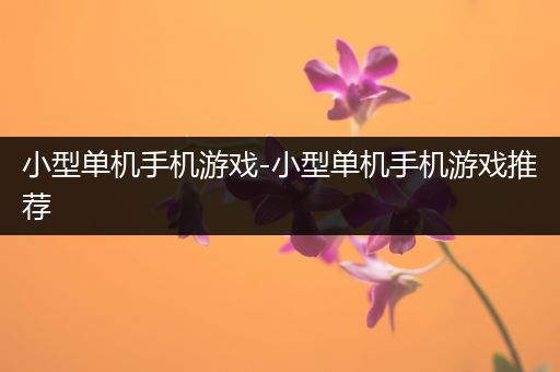小型单机手机游戏-小型单机手机游戏推荐