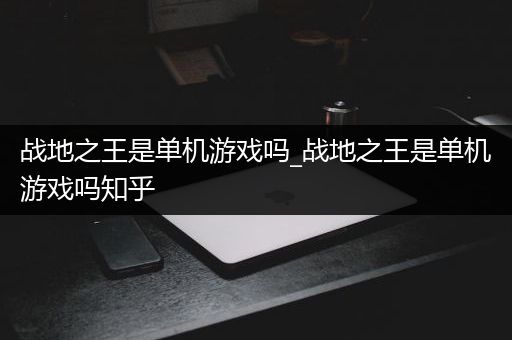战地之王是单机游戏吗_战地之王是单机游戏吗知乎