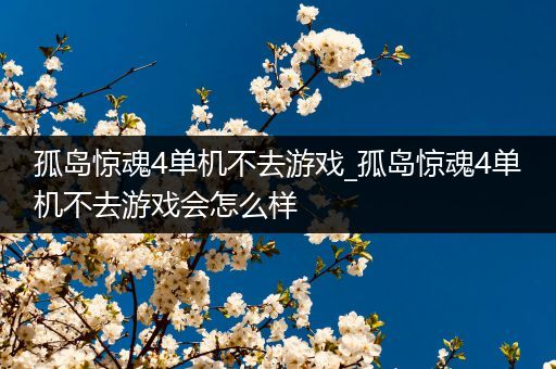 孤岛惊魂4单机不去游戏_孤岛惊魂4单机不去游戏会怎么样