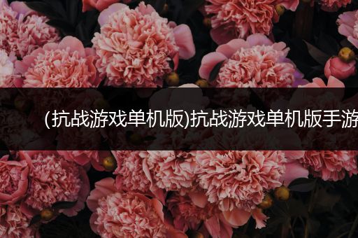（抗战游戏单机版)抗战游戏单机版手游