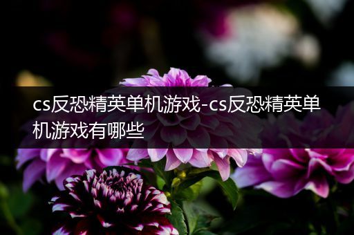 cs反恐精英单机游戏-cs反恐精英单机游戏有哪些