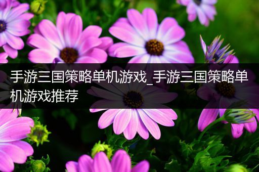 手游三国策略单机游戏_手游三国策略单机游戏推荐
