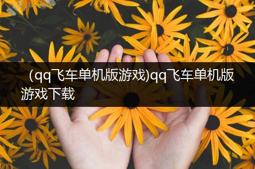 （qq飞车单机版游戏)qq飞车单机版游戏下载