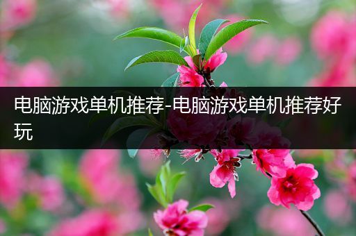 电脑游戏单机推荐-电脑游戏单机推荐好玩