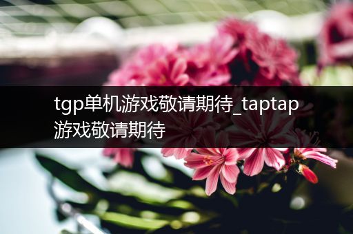tgp单机游戏敬请期待_taptap游戏敬请期待