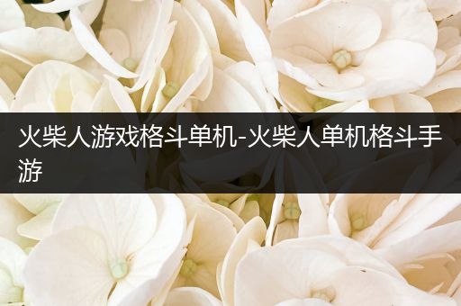 火柴人游戏格斗单机-火柴人单机格斗手游