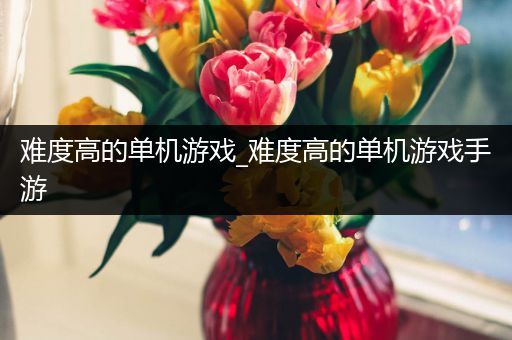 难度高的单机游戏_难度高的单机游戏手游