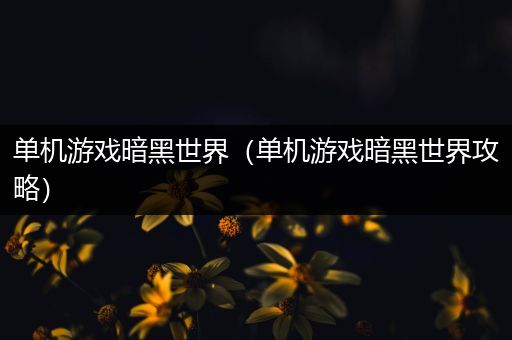 单机游戏暗黑世界（单机游戏暗黑世界攻略）