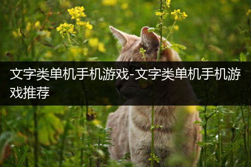 文字类单机手机游戏-文字类单机手机游戏推荐