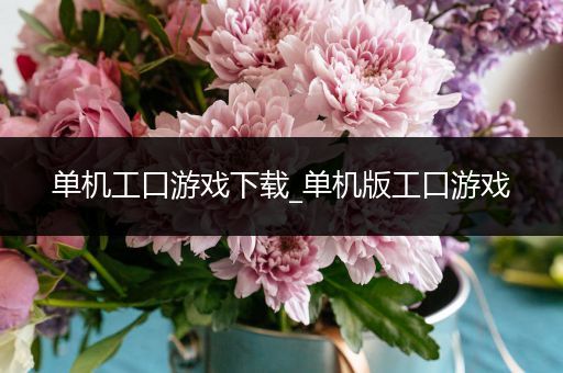 单机工口游戏下载_单机版工口游戏