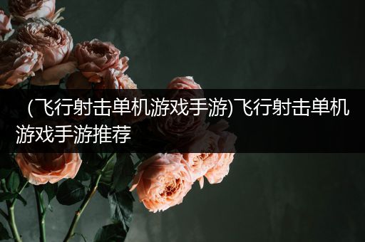 （飞行射击单机游戏手游)飞行射击单机游戏手游推荐