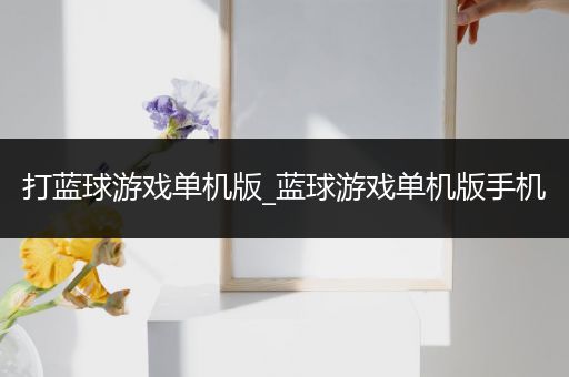 打蓝球游戏单机版_蓝球游戏单机版手机