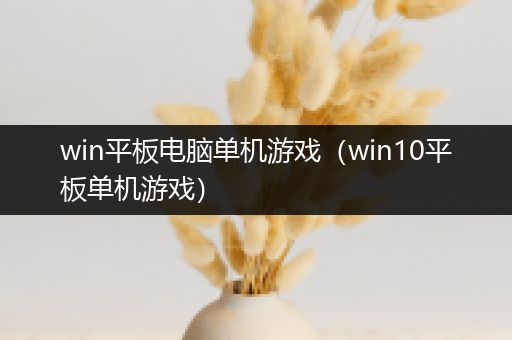 win平板电脑单机游戏（win10平板单机游戏）