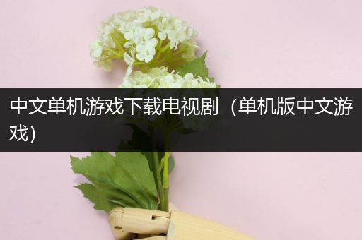 中文单机游戏下载电视剧（单机版中文游戏）