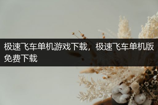 极速飞车单机游戏下载，极速飞车单机版免费下载