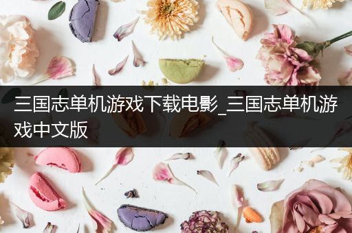 三国志单机游戏下载电影_三国志单机游戏中文版