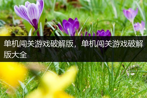 单机闯关游戏破解版，单机闯关游戏破解版大全