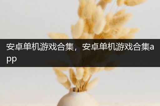 安卓单机游戏合集，安卓单机游戏合集app