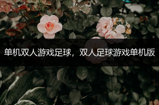 单机双人游戏足球，双人足球游戏单机版