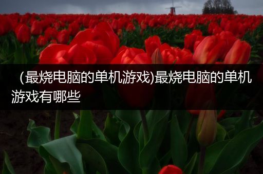 （最烧电脑的单机游戏)最烧电脑的单机游戏有哪些