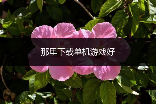 那里下载单机游戏好