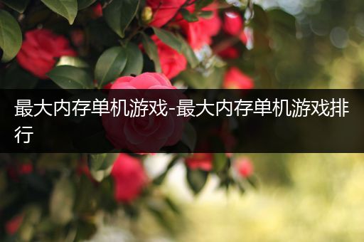 最大内存单机游戏-最大内存单机游戏排行