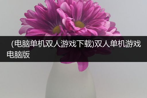（电脑单机双人游戏下载)双人单机游戏电脑版