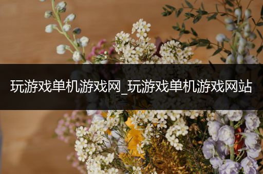 玩游戏单机游戏网_玩游戏单机游戏网站