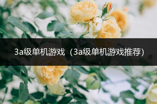 3a级单机游戏（3a级单机游戏推荐）