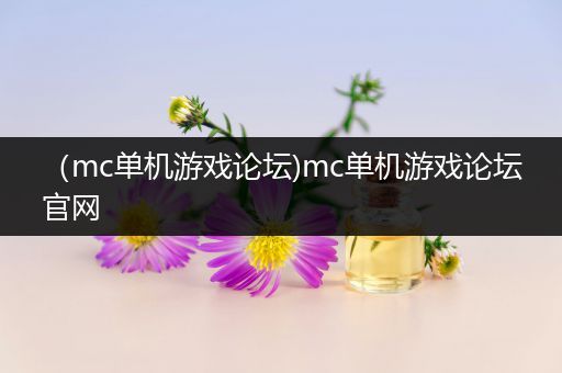 （mc单机游戏论坛)mc单机游戏论坛官网