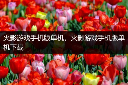 火影游戏手机版单机，火影游戏手机版单机下载