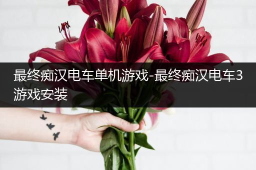 最终痴汉电车单机游戏-最终痴汉电车3游戏安装