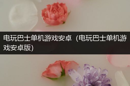 电玩巴士单机游戏安卓（电玩巴士单机游戏安卓版）