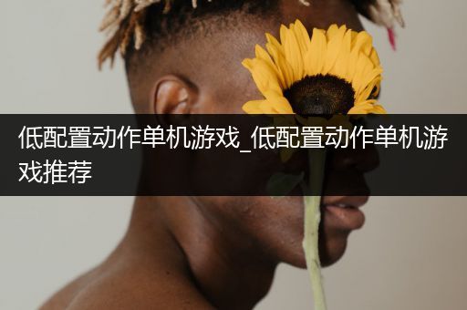 低配置动作单机游戏_低配置动作单机游戏推荐