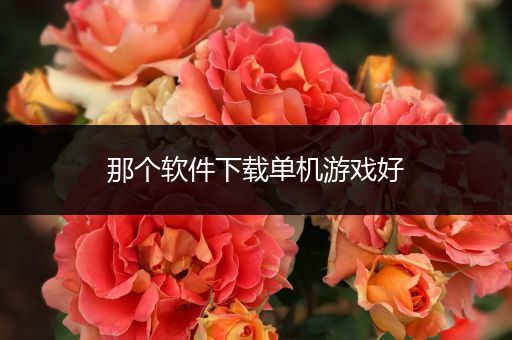 那个软件下载单机游戏好