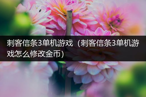 刺客信条3单机游戏（刺客信条3单机游戏怎么修改金币）