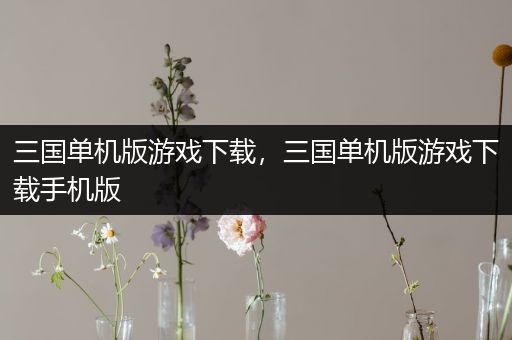 三国单机版游戏下载，三国单机版游戏下载手机版