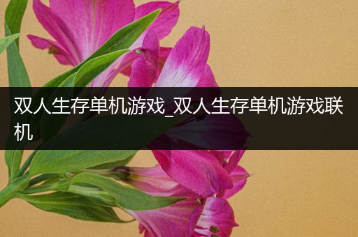 双人生存单机游戏_双人生存单机游戏联机