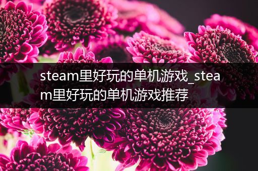 steam里好玩的单机游戏_steam里好玩的单机游戏推荐