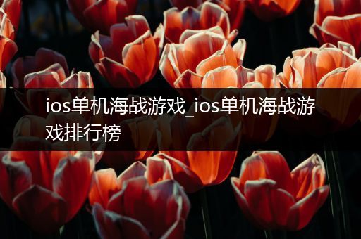 ios单机海战游戏_ios单机海战游戏排行榜