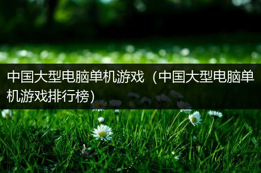 中国大型电脑单机游戏（中国大型电脑单机游戏排行榜）