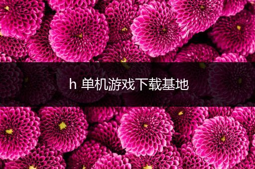 h 单机游戏下载基地